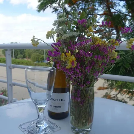 Gloria Maris Gardens * 卡巴纳斯·德·塔维拉